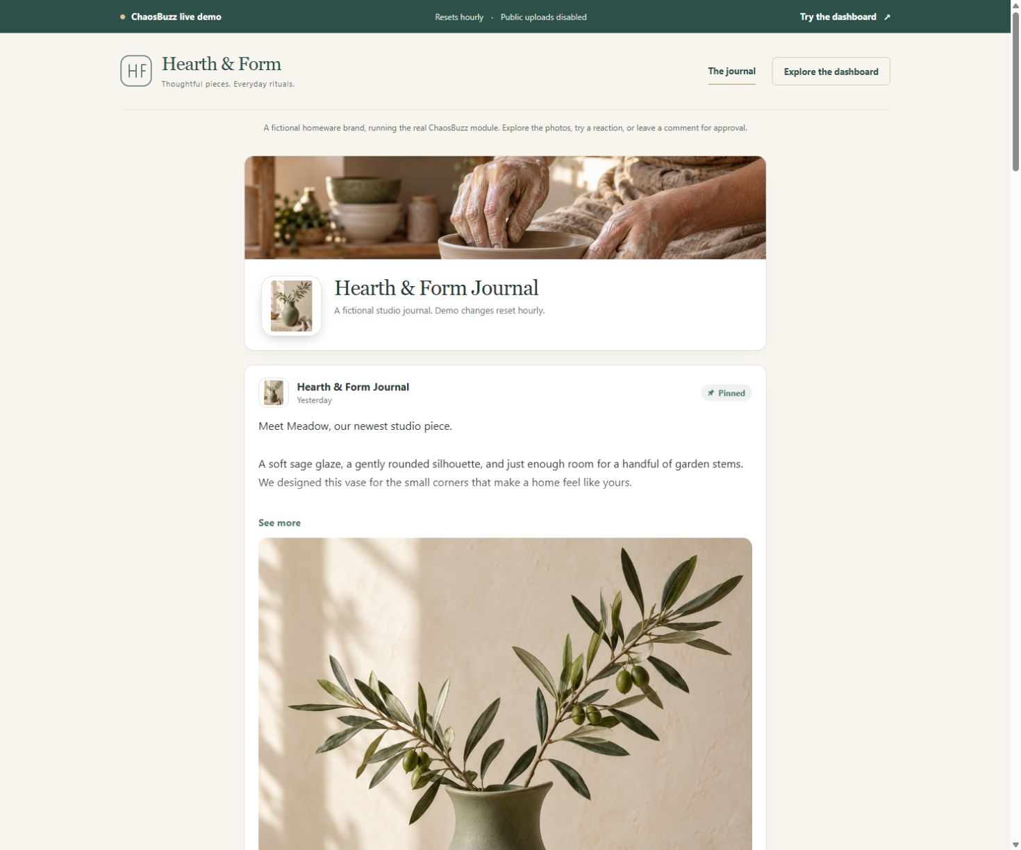 Hearth and Form's fictional homeware journal in the live ChaosBuzz demonstration